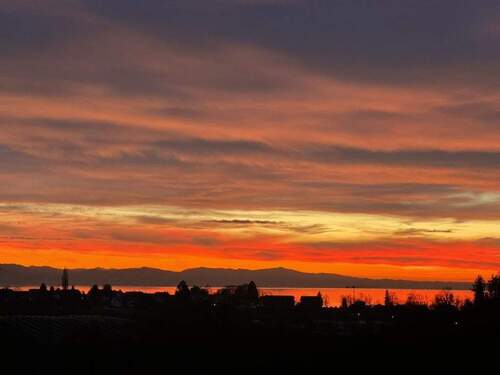 Sonnenuntergang am Bodensee - 