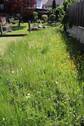 Bild 14 - 