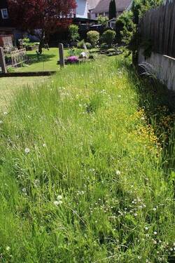 Bild 14 - 
