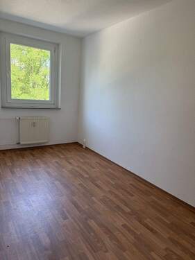 IMG_9689 - 3 Zimmer Etagenwohnung zur Miete in Stralsund