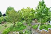 Panorama Garten - 