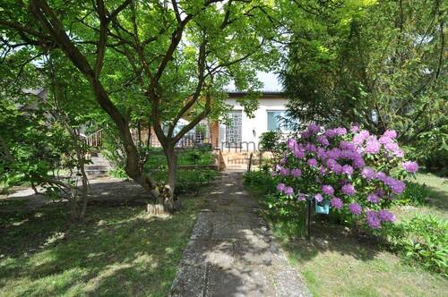 Haus gartenseitig I - 
