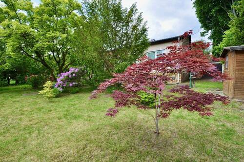 Haus gartenseitig II - 