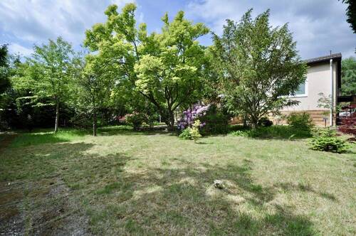 Gartenansicht I - 