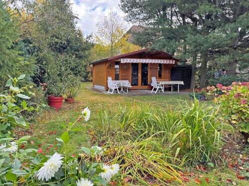 Gartenhaus - Einfamilienhaus mit 114,00 m&sup2; in Brandis zum Kaufen