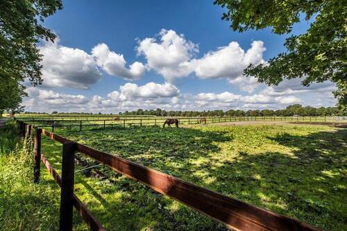 Mit den Pferden frühstücken - 