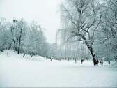 Volkspark Wilmersdorf - 