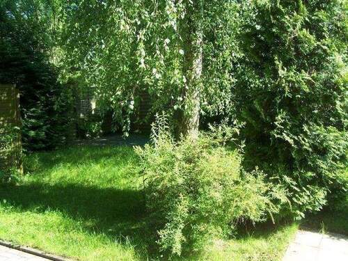 Garten - 
