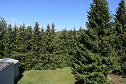 Garten vom Balkon aus - 