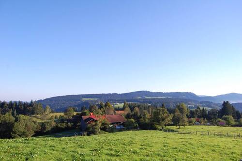 traumhafte Lage - 