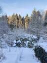 Winterimpressionen - 