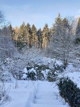 Winterimpressionen - 