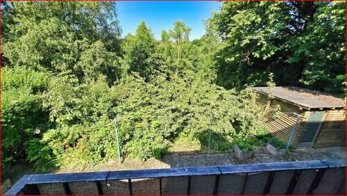 Sicht in den Garten - 