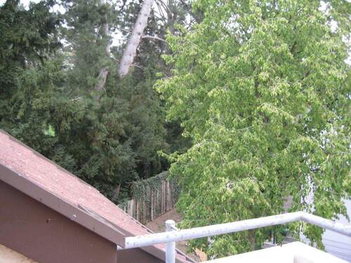 Aussicht vom Balkon - 