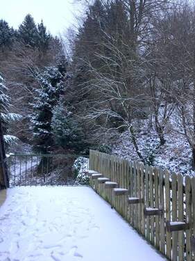 Blick vom Balkon zum Wald - 3 Zimmer Etagenwohnung in Rösrath