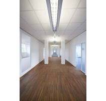 Attraktive Fläche für grenzenlose Kreativität im 2. OG | 818 m² - All-in-Miete - Stuttgart Wangen