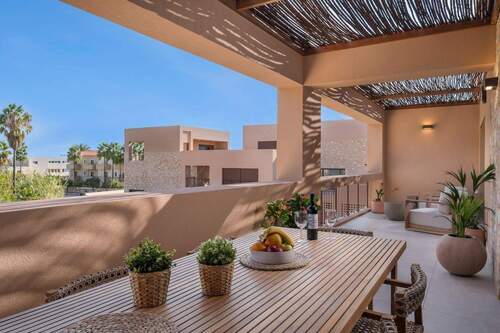 Olive Courtyard Collection - 