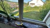 Bild 17 - 