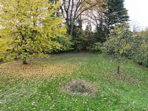 Bild 2 - 6 Zimmer Einfamilienhaus zum Kaufen in Ibbenbüren