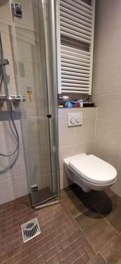 Duschbad/Gäste-WC im EG - 