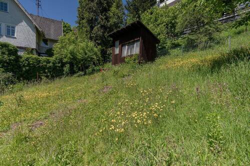 Garten - 