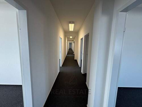 2.jpg - 6 Zimmer Büro zur Miete in Hamburg