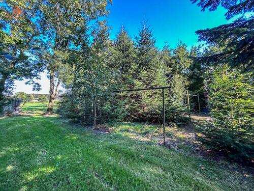 Blick in den Garten 2 - 