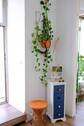 Flur - 