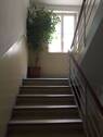 gepflegtes Treppenhaus - 