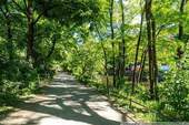 Umgebung - 