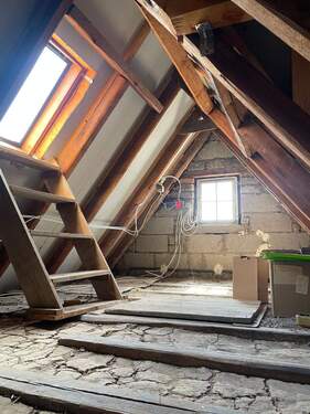 PHOTO-2025-04-11-10-32-59_8.jpg - 