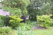 Gartenteich - 