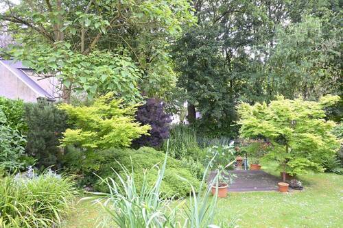 Gartenteich - 