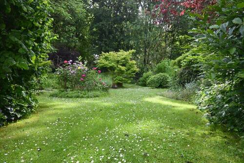 Blick in den Garten - 