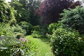 Garten - 