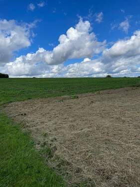 PHOTO-2025-09-14-15-34-11_4.jpg - 