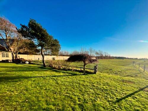 Herrlicher Blick in die Natur! - 4 Zimmer Reihenmittelhaus zum Kaufen in Sylt-Ost / Morsum