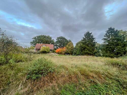 Grundstück - Grundstück zum Kaufen in Adendorf