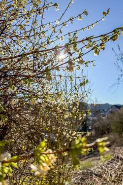 Impression Außenbereich - 