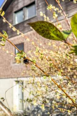 Impression Außenbereich - 