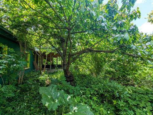 Vor dem Gästehaus - 