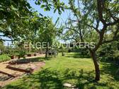 Bild 1 - Reihenendhaus mit Wintergarten & Wellness-Terrasse - plus riesigem Pachtgrundstück