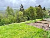 IMG_3595.jpeg - 