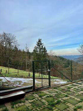 IMG_5115.jpeg - 