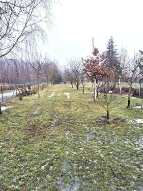 20260212_113811[1].jpg - 