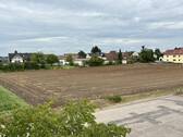 Blick vom Balkon übers Knoblauchsland - 