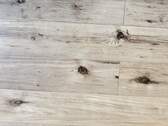Bild 6 - 