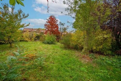 Garten - Mehrfamilienhaus, Wohnhaus mit 220,00 m² in Goslar zum Kaufen