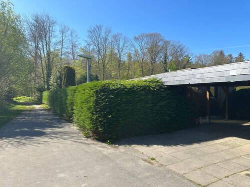 Wald vor der Haustür - 