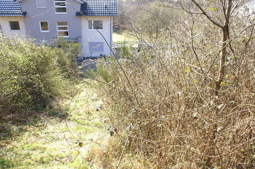 Baugrundstück_Ruppichteroth (10) - Grundstück zum Kaufen in Ruppichteroth